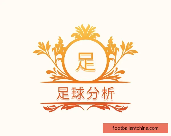 了解足球分析